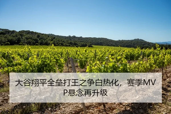大谷翔平全垒打王之争白热化，赛季MVP悬念再升级