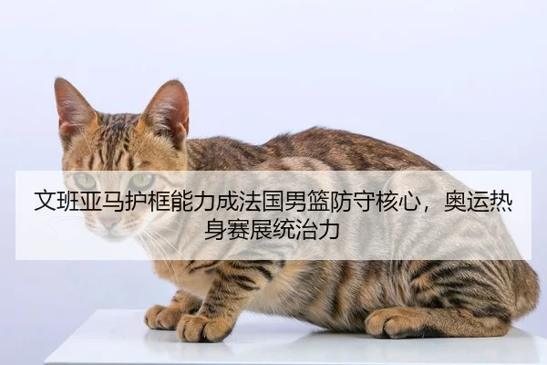 文班亚马护框能力成法国男篮防守核心，奥运热身赛展统治力