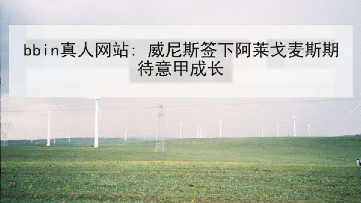 bbin真人网站: 威尼斯签下阿莱戈麦斯期待意甲成长