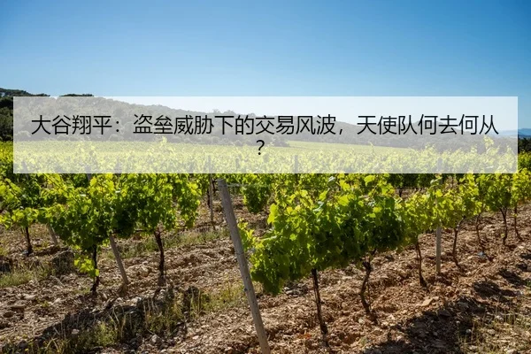 大谷翔平：盗垒威胁下的交易风波，天使队何去何从？