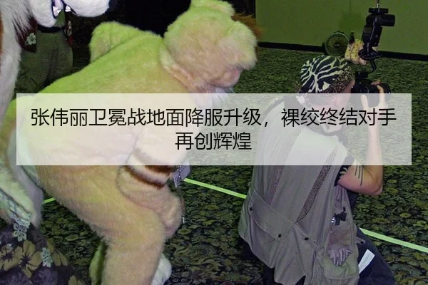 zhang-wei-li-wei-mian-zhan-di-mian-xiang-fu-sheng-ji-luo-jiao-zhong-jie-dui-shou-zai-chuang-hui-huang-2-282.jpg