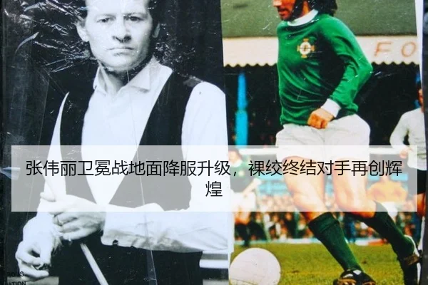 zhang-wei-li-wei-mian-zhan-di-mian-xiang-fu-sheng-ji-luo-jiao-zhong-jie-dui-shou-zai-chuang-hui-huang-3-756.jpg