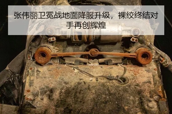 张伟丽卫冕战地面降服升级，裸绞终结对手再创辉煌