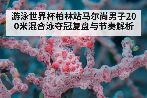 游泳世界杯柏林站马尔尚男子200米混合泳夺冠复盘与节奏解析