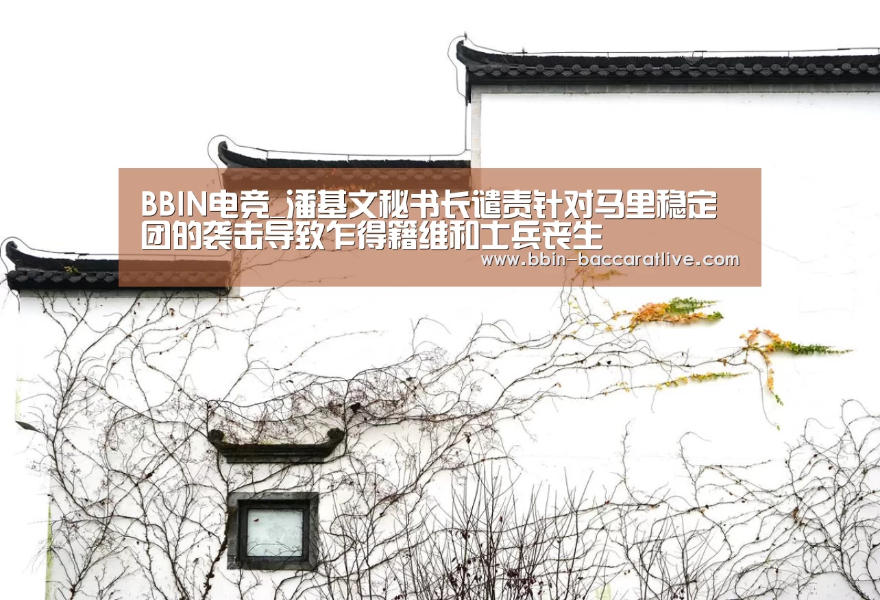 BBIN电竞_潘基文秘书长谴责针对马里稳定团的袭击导致乍得籍